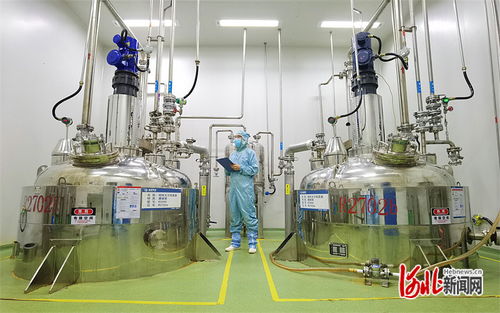 夯實法治之基 增添協同底色 京津冀協同發展中的人大力量