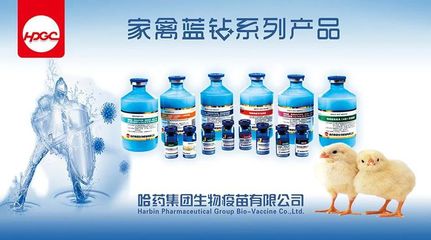 《2022年河北省主要動物疫病免疫計劃》《2022年河北省主要動物疫病監測和流行病學調查計劃》