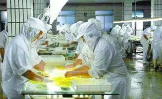 揭秘一線食品企業的清潔與消毒