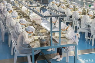 白馬生物科技,品質為先,一生只做一件事