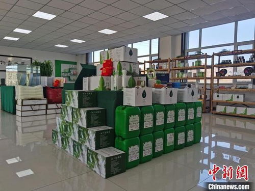 河北承德 小松針也能做成大健康產業